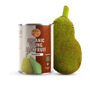 Organic Young Jackfruit in Brine